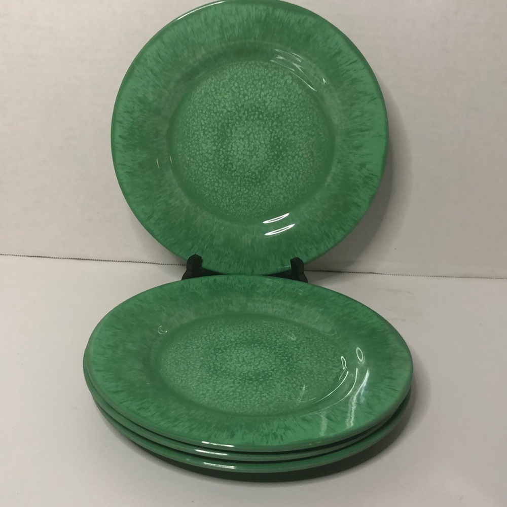 Pier1 Capri Green Melamine Dinner Plates Set of 4